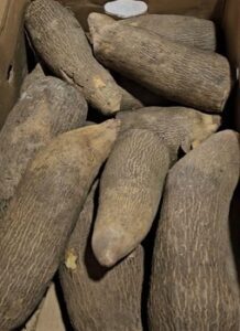 Sweet Ghana Yam