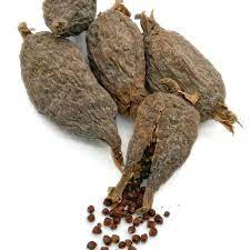 ALLIGATOR PEPPER 3PCS