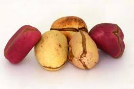 KOLANUT