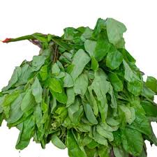Afang/Okazi Leaves