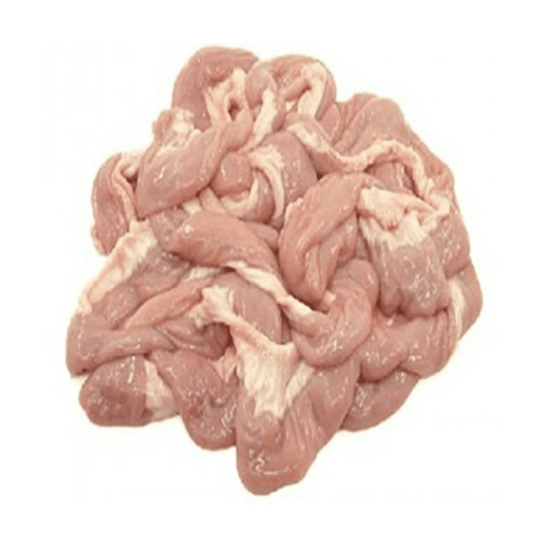 Beef Intestine (Roundabout)