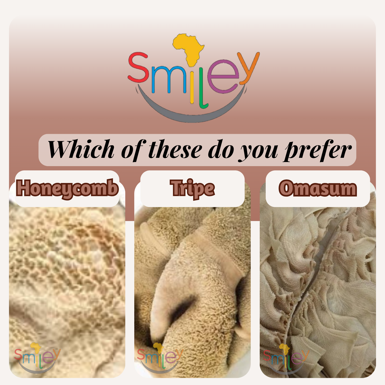 Beef Tripe & Others (Shaki)