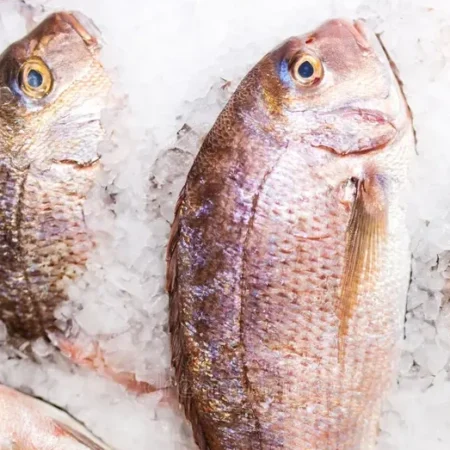 Snapper Fish (Denton) – Smiley Foods and Stores