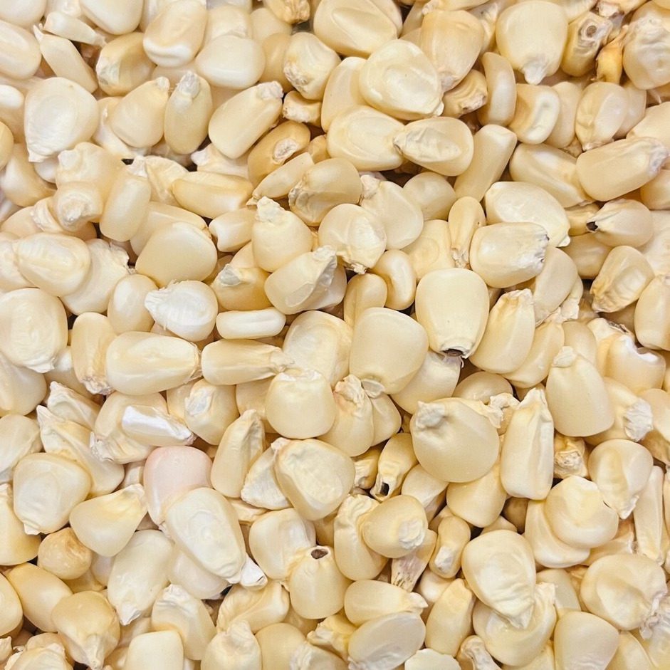 Nigerian Corn (Dried for Pap)