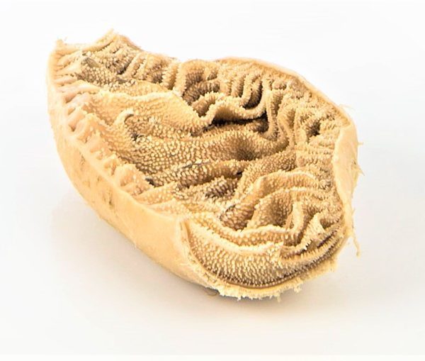 Beef Omasum Notebook (Shaki / Tripe)