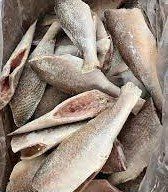 Headless Croaker Fish