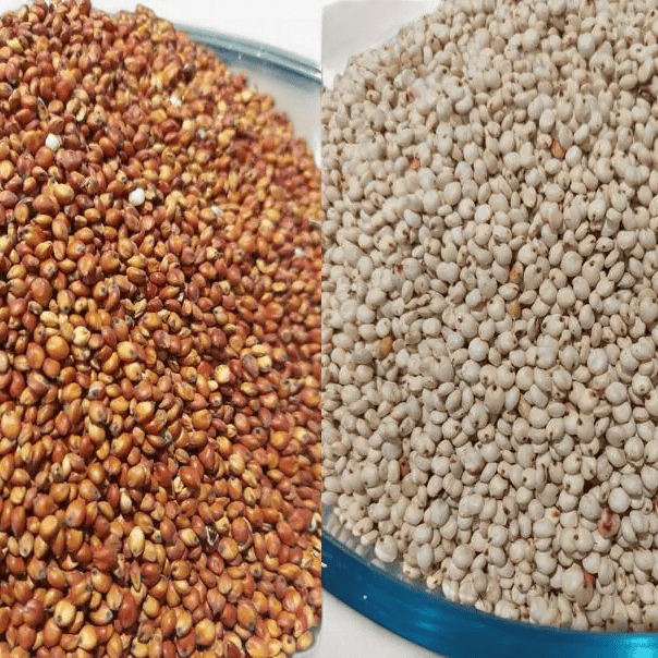 Nigerian Guinea Corn (Dawa)